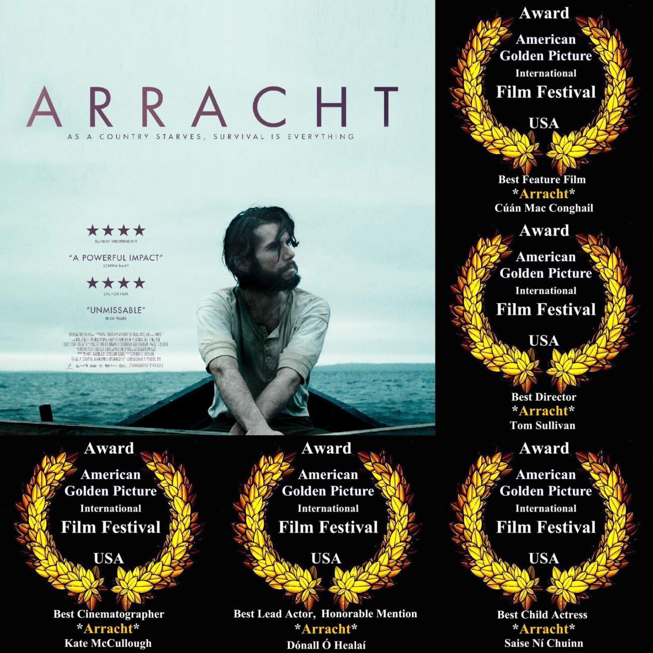 Tg4 and the irish speaking audience essay 04 image