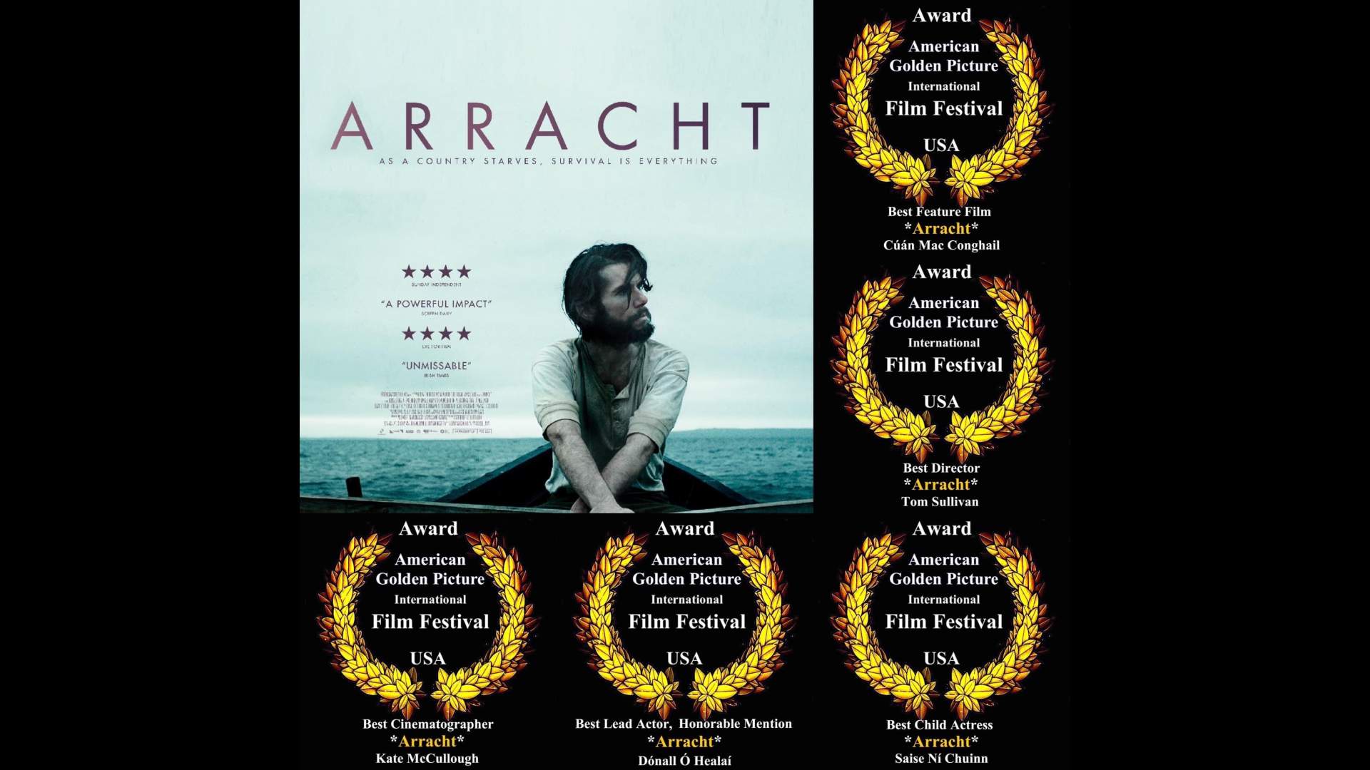 Tg4 and the irish speaking audience essay 05 image